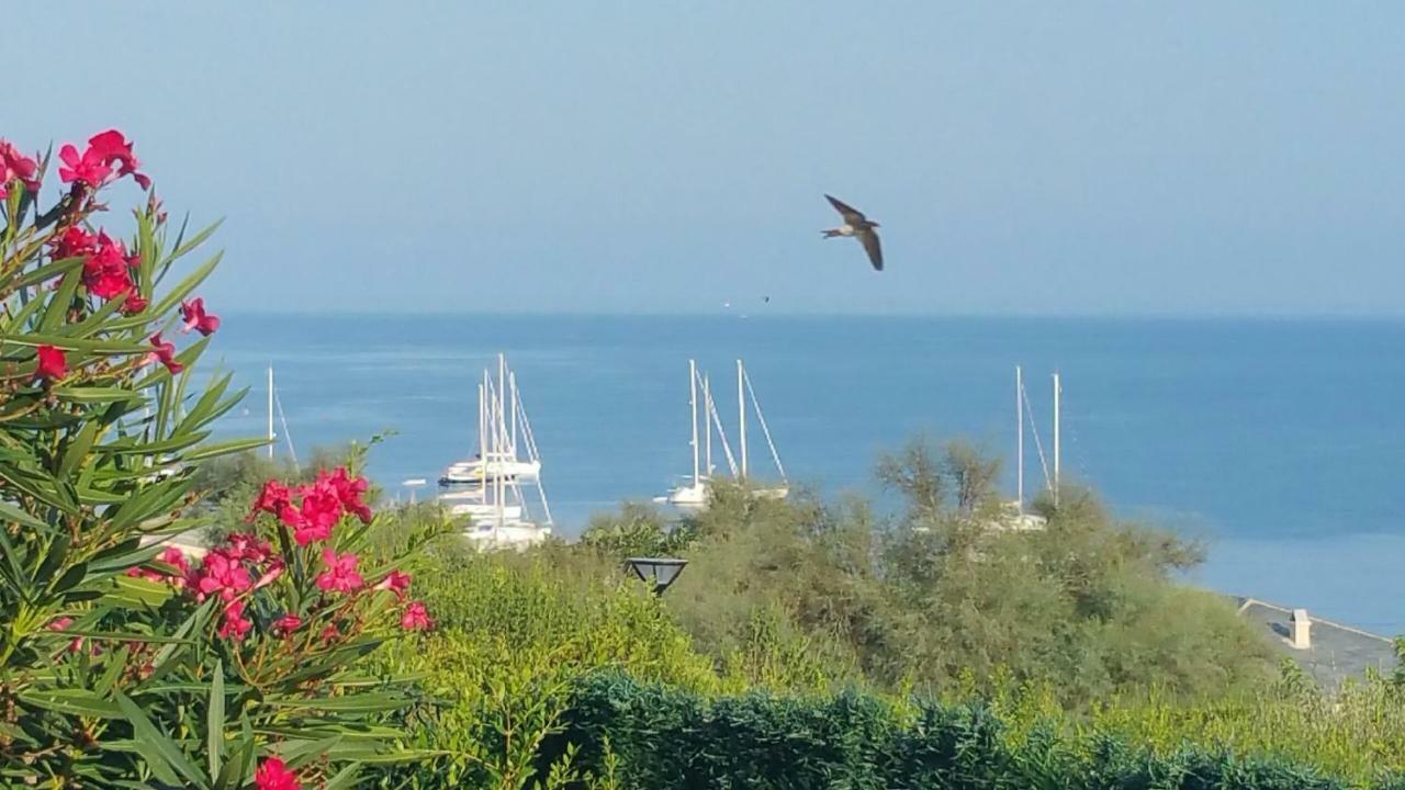 Porteo - Les Terrasses Du Port Centuri Luaran gambar